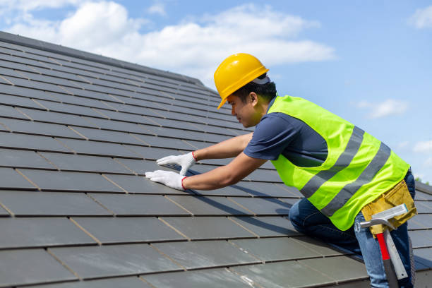 Best Roof Insulation Installation  in Laguna Heights, TX